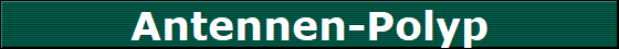 Antennen-Polyp