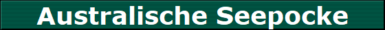 Australische Seepocke