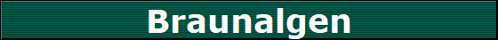 Braunalgen