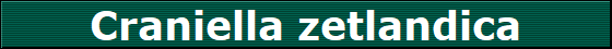 Craniella zetlandica