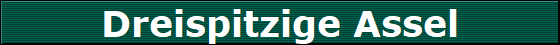 Dreispitzige Assel