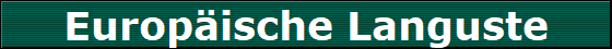 Europische Languste