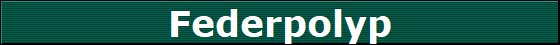 Federpolyp