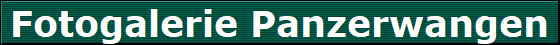 Fotogalerie Panzerwangen