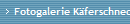 Fotogalerie K�ferschnecken