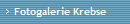 Fotogalerie Krebse