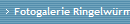 Fotogalerie Ringelw�rmer