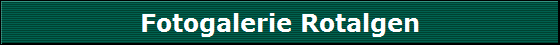 Fotogalerie Rotalgen