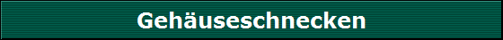 Geh�useschnecken