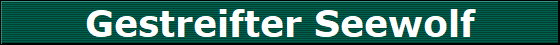 Gestreifter Seewolf