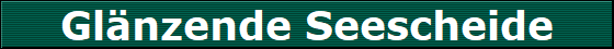 Glnzende Seescheide