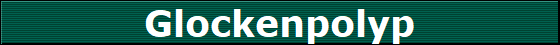 Glockenpolyp