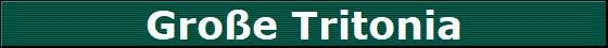 Groe Tritonia