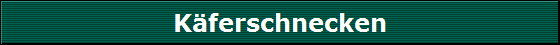 K�ferschnecken