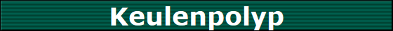 Keulenpolyp