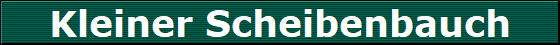 Kleiner Scheibenbauch