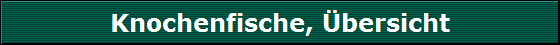 Knochenfische, �bersicht