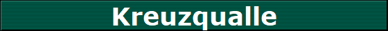 Kreuzqualle