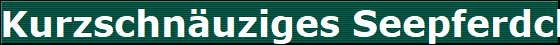 Kurzschnuziges Seepferdchen 