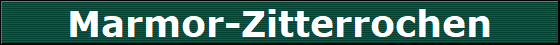 Marmor-Zitterrochen