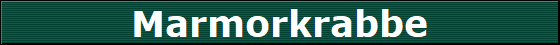 Marmorkrabbe