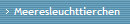 Meeresleuchttierchen