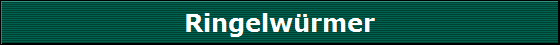 Ringelw�rmer