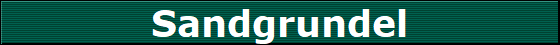 Sandgrundel