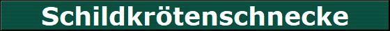 Schildkrtenschnecke