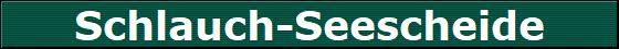 Schlauch-Seescheide