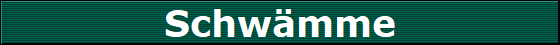 Schwmme