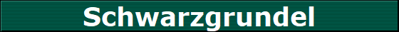Schwarzgrundel