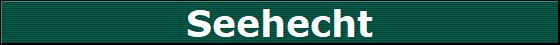 Seehecht
