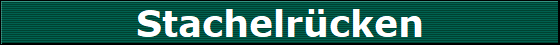Stachelrcken