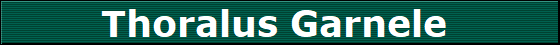 Thoralus Garnele 