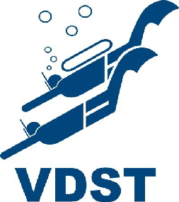 VdstP301_k