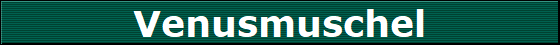 Venusmuschel