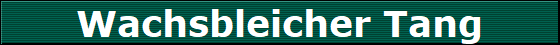 Wachsbleicher Tang