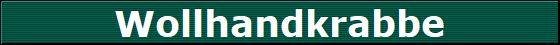 Wollhandkrabbe