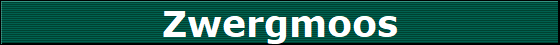Zwergmoos