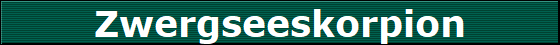 Zwergseeskorpion