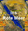 Arten des Roten Meeres